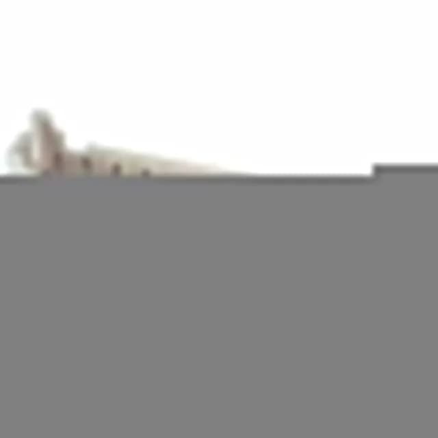 B24B-PHDSS — JST Sales America Inc. product photo